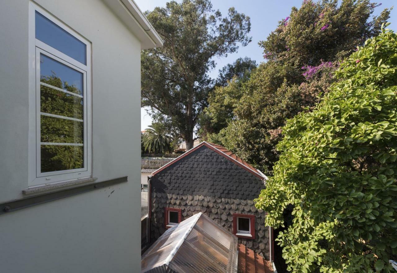 Tripas-Coracao, Breiner Greenhouse Porto Room photo